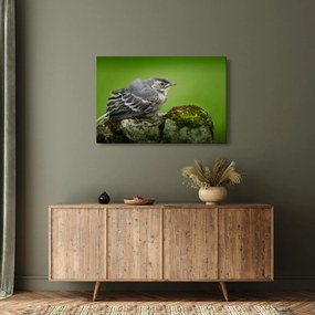 Tablou - Muscarul (90x60 cm)