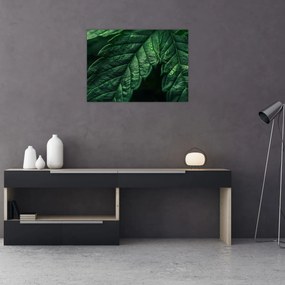 Tablou - Detaliu al foii (70x50 cm)