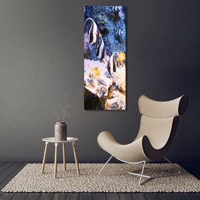 Tablou acrilic Recif de corali