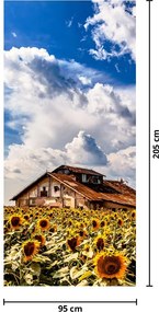 Fototapet pentru ușă - Câmp cu floarea soarelui (95x205cm)