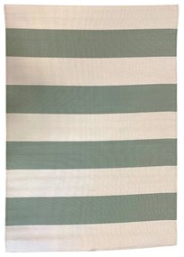 Covor de exterior, cu doua fete, 180x120 cm, verde-bej