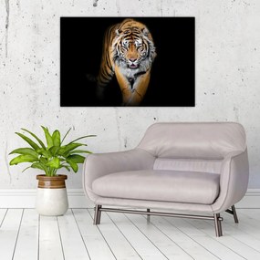 Tablou - Tiger (90x60 cm)