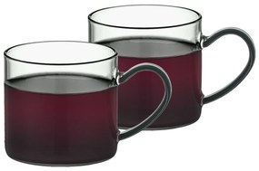 4Home Set de căni din sticlă Haze 250 ml, 2 buc.