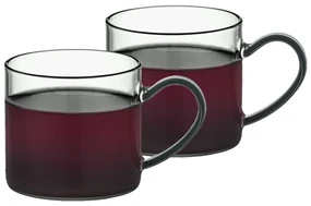 4Home Set de căni din sticlă Haze 250 ml, 2 buc.