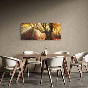 Tablou - Lumina de toamnă (120x50 cm)