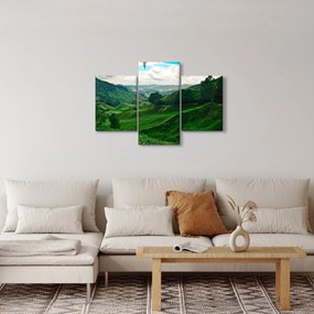 Tablou Plantații de ceai - Malaezia (90x60 cm)
