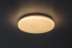 Plafoniera pentru exterior, Protectie IP44 Lowar D-28,5cm