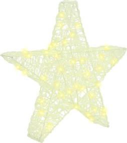 vidaXL Stea 3D cu 50 LED Alb cald 55 x 53.5 x 10 cm Acril