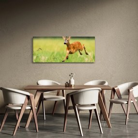 Tablou - Haită (120x50 cm)