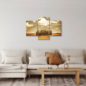 Tablou cu luncă (90x60 cm)