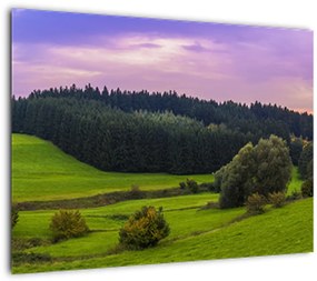 Tablou pe sticlă cu lunca (70x50 cm)