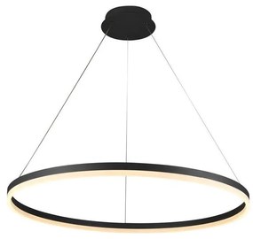 Lustră LED dimabilă pe cablu Brilagi CIRCLE LED/55W/230V 3000-6500K negru + telecomandă