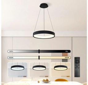 Brilagi - Lustra suspendată pe cablu LED dimabilă FALCON MODERN LED/30W/230V 40 cm negru + telecomandă