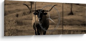 Tablou - Vacă din Texas (cu ceas) (90x30 cm)