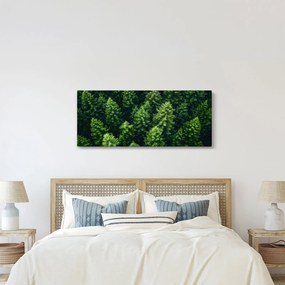 Tablou - Pădure (120x50 cm)