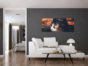 Tablou - Privirea pisicii (120x50 cm)