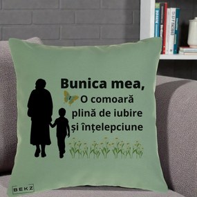 Cadou pentru Bunica - Perna Personalizata Bunica Mea Comoara cu Fluture si Baietel, 40x40 cm, Verde, Husa Detasabila, Perna Inclusa, BEKZ®