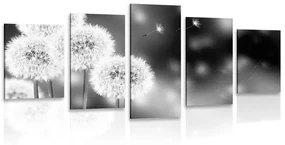 Tablou 5-piese păpădie pufoasă în design alb-negru
