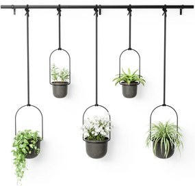 Ghivece decorative 5 buc. din plastic pentru ierburi aromatice/de agățat / de perete ø 7,5 cm Triflora – Umbra