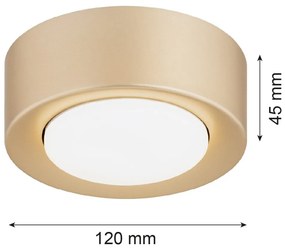 Spot tavan, Mini plafoniera ELORA 8903 auriu