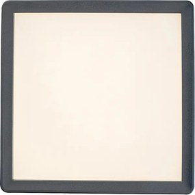 Rabalux 3359 - Plafonieră LED LAMBERT pentru baie LED/15W/230V IP44