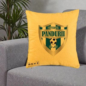Perna Personalizata Pandurii Targu Jiu Fotbal, 40x40 cm, Galben, Husa Detasabila, Perna Inclusa, BEKZ®
