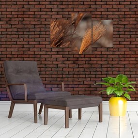 Tablou - Cortaderie (90x60 cm)