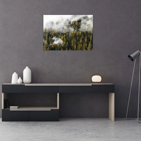 Tablou pe sticlă - Pădure în nori (70x50 cm)
