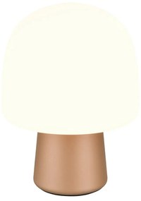 Veioză albă/în culoarea bronz cu abajur din sticlă (înălțime 27 cm) Steen – Trio