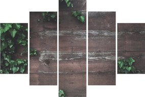 Tablou - Lederă (150x105 cm)