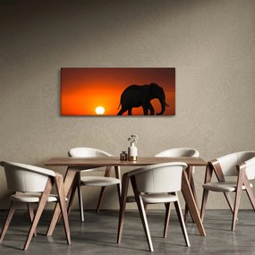 Tablou cu elefant în apus de soare (120x50 cm)