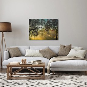 Tablou cu răsărit de soare (70x50 cm)