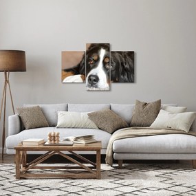 Tablou cu câine (90x60 cm)