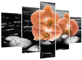Tablou - Orhidee portocalii (150x105 cm)