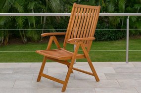 Scaun reglabil Fieldmann FDZN 4001-T , 2 buc.