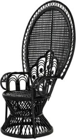 Fotoliu de exterior negru, din rattan, Regalys