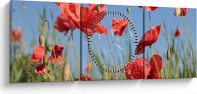 Tablou - Maci (cu ceas) (90x30 cm)