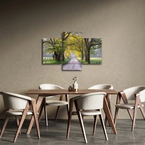 Tablou - Smoky Mountains, Gatlinburg, SUA (90x60 cm)