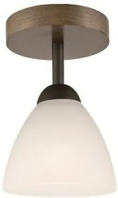 Plafoniera rustica 1 bec E27 Adriano 28286 Lamkur