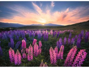 PUZZLE CAMP CU LUPIN, 500 PIESE - RAVENSBURGER (RVSPA17492)
