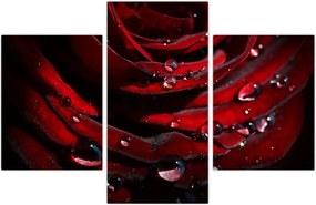 Tablou - Trandafir (90x60 cm)