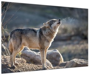 Tablou - Lupul urlător (90x60 cm)