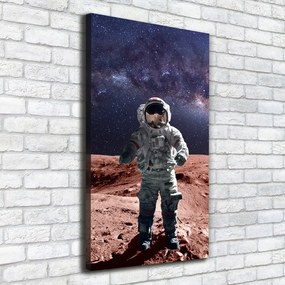 Tablou pe pânză canvas Astronaut