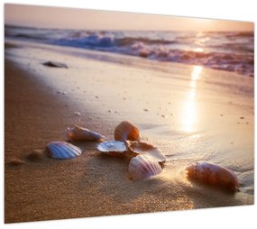 Tablou - Scoici (70x50 cm)