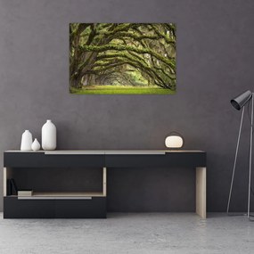 Tablou - Oaks Avenue, Charleston, Carolina de Sud, SUA (90x60 cm)