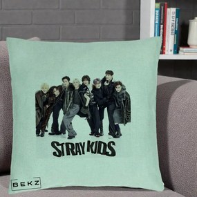 Perna Personalizata K-pop Stray Kids Outfit Negru, 40x40 cm, Verde Menta, Husa Detasabila, Perna Inclusa, BEKZ®