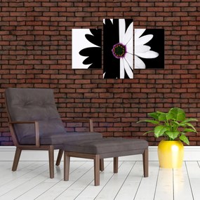 Tablou - Floare, alb- negru (90x60 cm)