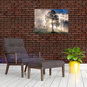 Tablou cu copac în ceață (70x50 cm)