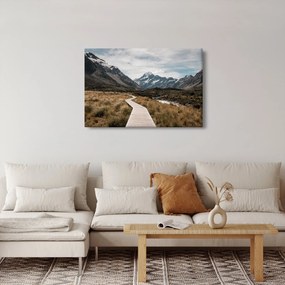 Tablou - Poteca în valea muntelui Mt. Cook (90x60 cm)