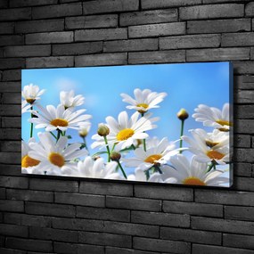 Tablou pe pânză canvas Margarete